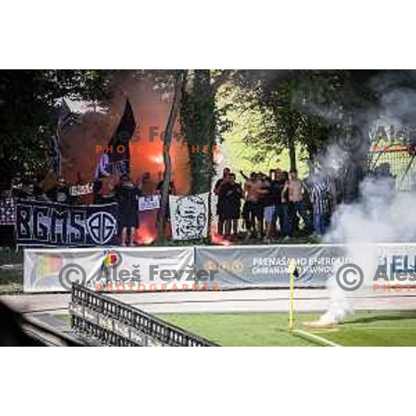 Mura supporters Black Gringos during Prva liga Telemach football match between Mura and Rogaska in Fazanerija, Murska Sobota, Slovenia on May 18, 2024. Photo: Jure Banfi
