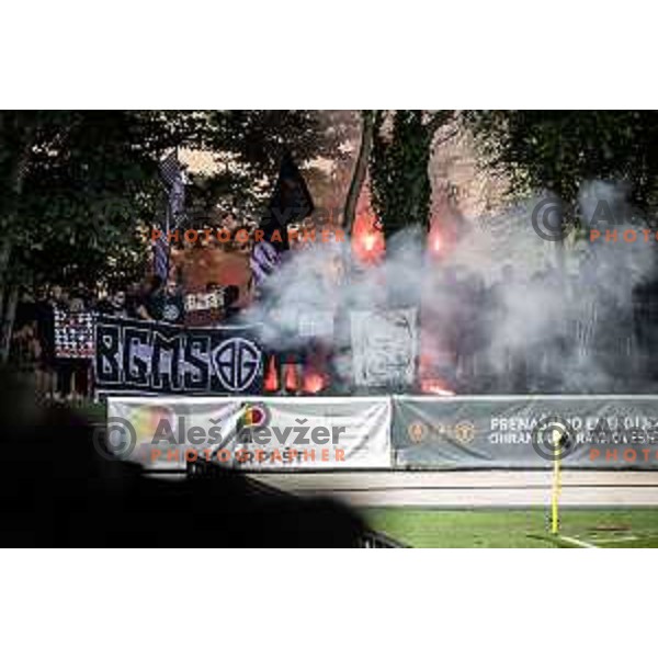 Mura supporters Black Gringos during Prva liga Telemach football match between Mura and Rogaska in Fazanerija, Murska Sobota, Slovenia on May 18, 2024. Photo: Jure Banfi