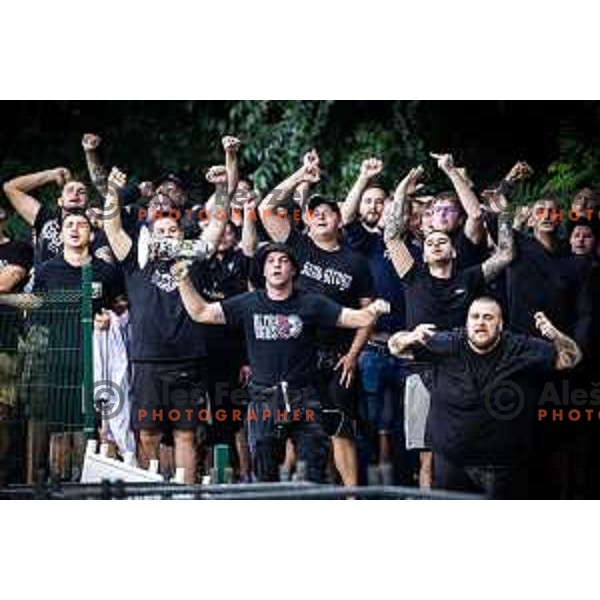 Mura supporters Black Gringos during Prva liga Telemach 2024/25 football match between Mura and Nafta 1903 in Fazanerija, Murska Sobota, Slovenia on July 20, 2024. Photo: Jure Banfi