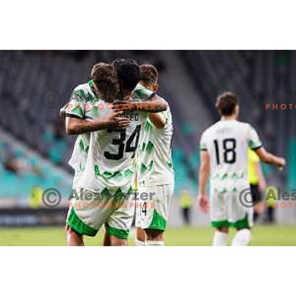 Diogo Pinto of NK Olimpija and Agustin Doffo of NK Olimpija in action during UEFA Conference League Qualifiers between NK Olimpija Ljubljana (SLO) and FC Polissya Zhytomyr (UKR) in Ljubljana, Slovenia on July 25, 2024. Photo: Grega Valancic / alesfevzer.com