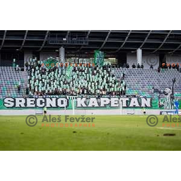Green Dragons in action during UEFA Conference League Qualifiers, Round 3, between NK Olimpija Ljubljana (SLO) and FC Sheriff Tiraspol (MDA) in Ljubljana, Slovenia on August 8th, 2024. Photo: Grega Valancic / alesfevzer.com