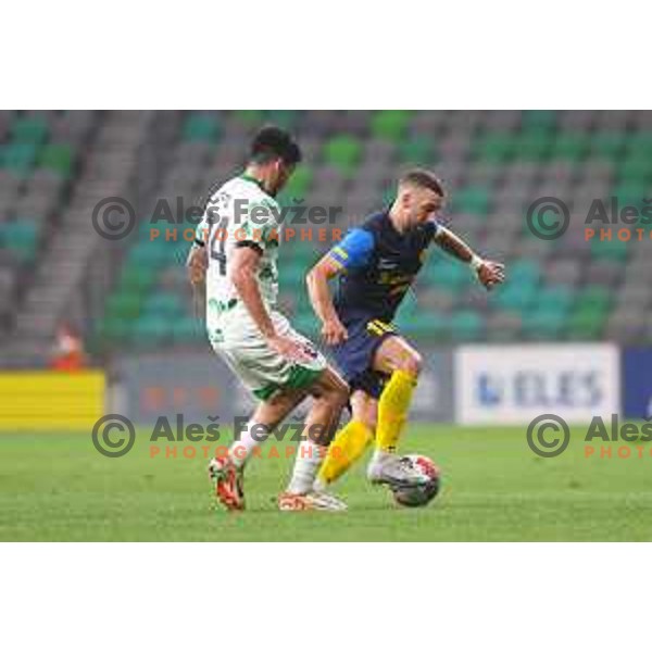 in action during Prva liga Telemach 2024/25 football match between Olimpija and Celje in Ljubljana, Slovenia on August 18, 2024