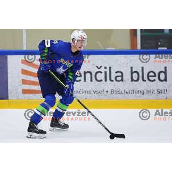 In action during friendly ice-hockey match between Slovenia and Austria in Bled Ice Rink, Slovenia on August 22, 2024