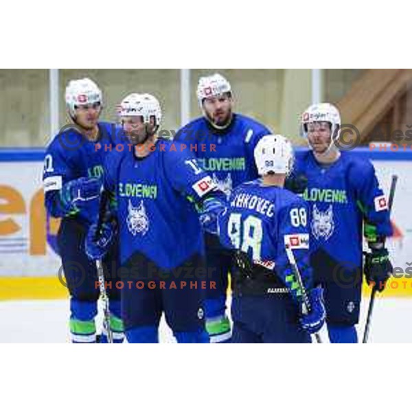In action during friendly ice-hockey match between Slovenia and Austria in Bled Ice Rink, Slovenia on August 22, 2024