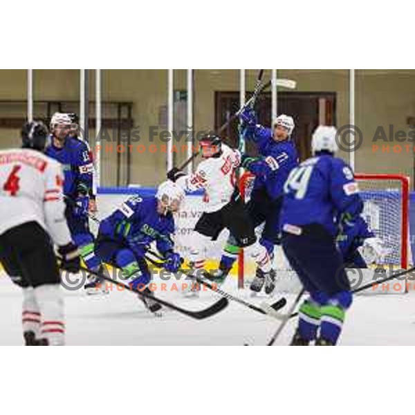 In action during friendly ice-hockey match between Slovenia and Austria in Bled Ice Rink, Slovenia on August 22, 2024