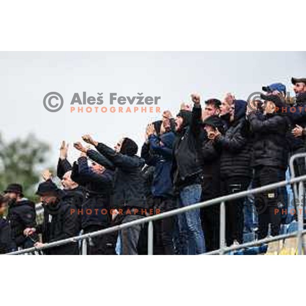 Gorgone, fans of Nafta in action during Prva Liga Telemach 2024/25 football match between Celje and Nafta 1903 in Celje, Slovenia on September 15, 2024