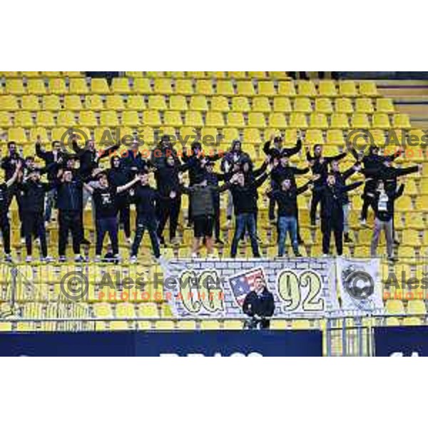 Celjski grofje, fans of Celje in action during Prva Liga Telemach 2024/25 football match between Celje and Nafta 1903 in Celje, Slovenia on September 15, 2024