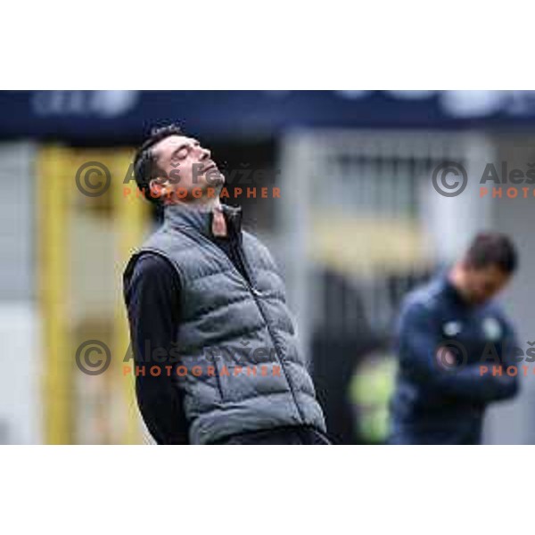 Albert Riera, head coach of Celje during Prva Liga Telemach 2024/25 football match between Celje and Nafta 1903 in Celje, Slovenia on September 15, 2024