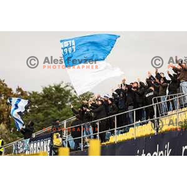 Gorgone, fans of Nafta in action during Prva Liga Telemach 2024/25 football match between Celje and Nafta 1903 in Celje, Slovenia on September 15, 2024