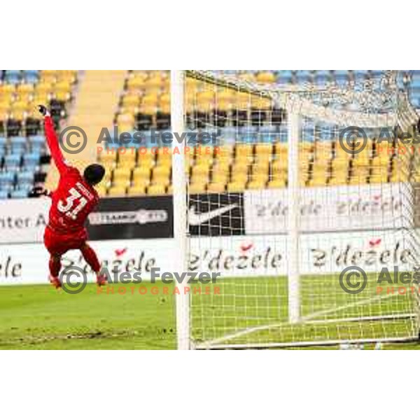 Zan Mauricio couldn\'t stop a shot of Zsombor Kalnoki-Kis of Nafta during Prva Liga Telemach 2024/25 football match between Celje and Nafta 1903 in Celje, Slovenia on September 15, 2024