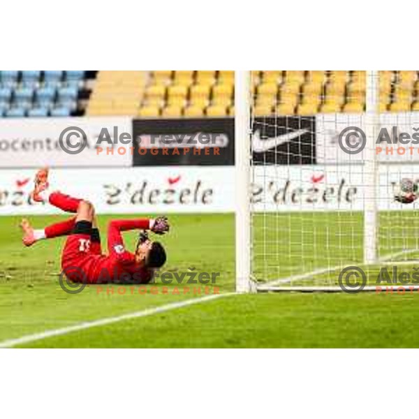 Zan Mauricio couldn\'t stop a shot of Zsombor Kalnoki-Kis of Nafta during Prva Liga Telemach 2024/25 football match between Celje and Nafta 1903 in Celje, Slovenia on September 15, 2024