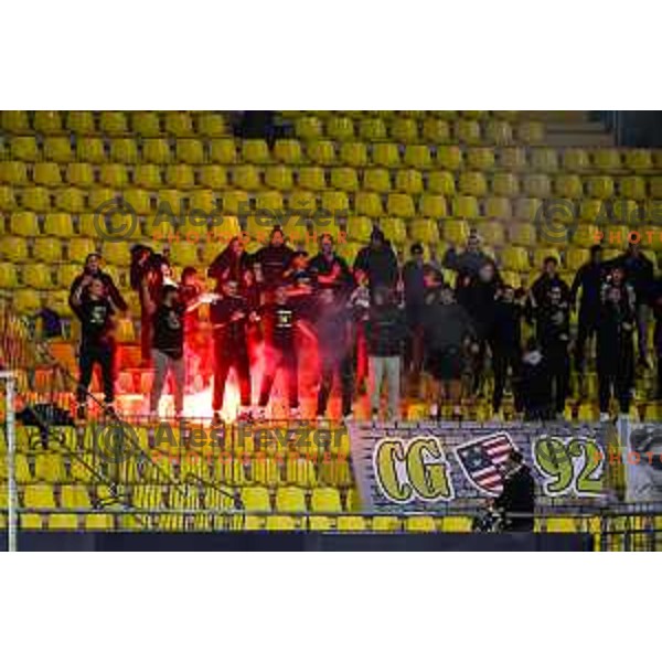 Celjski grofje, fans of Celje in action during Prva Liga Telemach 2024/25 football match between Celje and Nafta 1903 in Celje, Slovenia on September 15, 2024