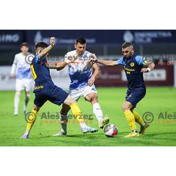 In action during Prva Liga Telemach 2024/25 football match between Celje and Nafta 1903 in Celje, Slovenia on September 15, 2024