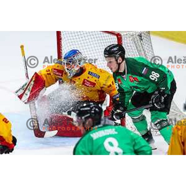 in action during IceHL match between SZ Olimpija and Migros Asiago in Ljubljana, Slovenia on September 27, 2024