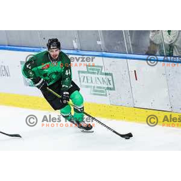 in action during IceHL match between SZ Olimpija and Migros Asiago in Ljubljana, Slovenia on September 27, 2024