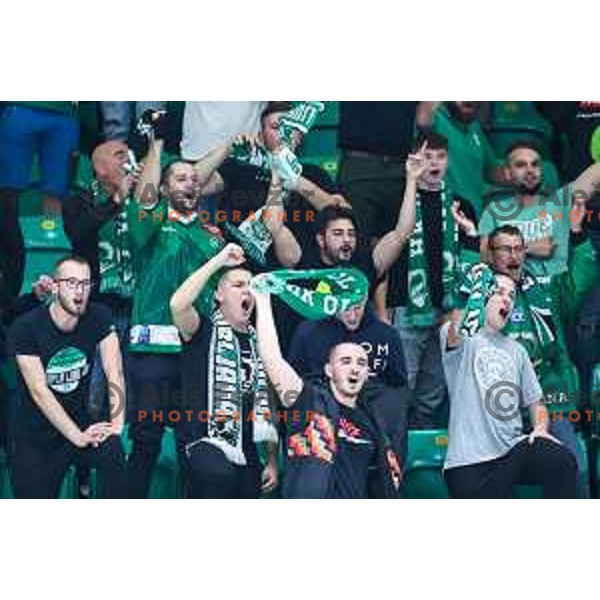 Fans of SZ Olimpija celebrate victory during IceHL match between SZ Olimpija and Migros Asiago in Ljubljana, Slovenia on September 27, 2024 