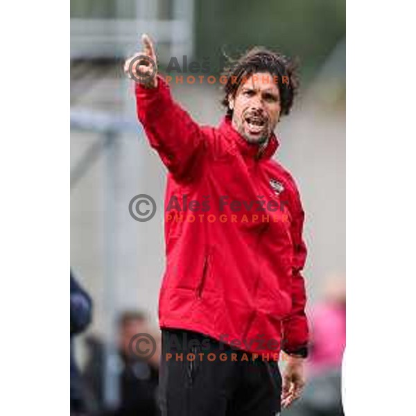 In action during Prva liga Telemach 2024/2025 football match between Primorje and Olimpija in Ajdovscina, Slovenia on September 28, 2024