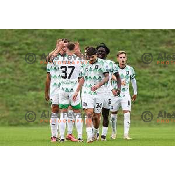 In action during Prva liga Telemach 2024/2025 football match between Primorje and Olimpija in Ajdovscina, Slovenia on September 28, 2024