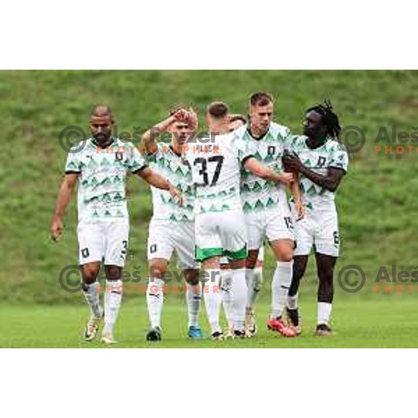 In action during Prva liga Telemach 2024/2025 football match between Primorje and Olimpija in Ajdovscina, Slovenia on September 28, 2024