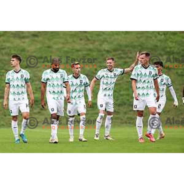 In action during Prva liga Telemach 2024/2025 football match between Primorje and Olimpija in Ajdovscina, Slovenia on September 28, 2024