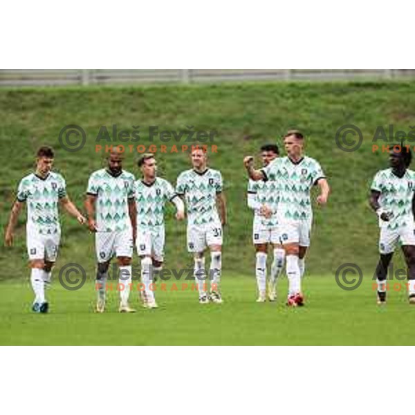 In action during Prva liga Telemach 2024/2025 football match between Primorje and Olimpija in Ajdovscina, Slovenia on September 28, 2024