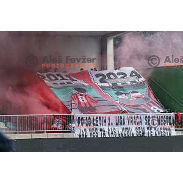 In action during Prva liga Telemach 2024/2025 football match between Primorje and Olimpija in Ajdovscina, Slovenia on September 28, 2024