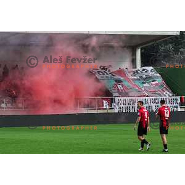 In action during Prva liga Telemach 2024/2025 football match between Primorje and Olimpija in Ajdovscina, Slovenia on September 28, 2024