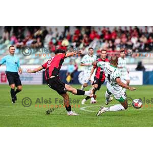 In action during Prva liga Telemach 2024/2025 football match between Primorje and Olimpija in Ajdovscina, Slovenia on September 28, 2024