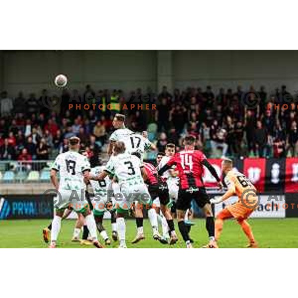 In action during Prva liga Telemach 2024/2025 football match between Primorje and Olimpija in Ajdovscina, Slovenia on September 28, 2024