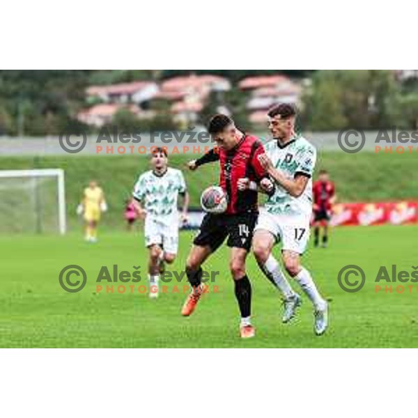 In action during Prva liga Telemach 2024/2025 football match between Primorje and Olimpija in Ajdovscina, Slovenia on September 28, 2024