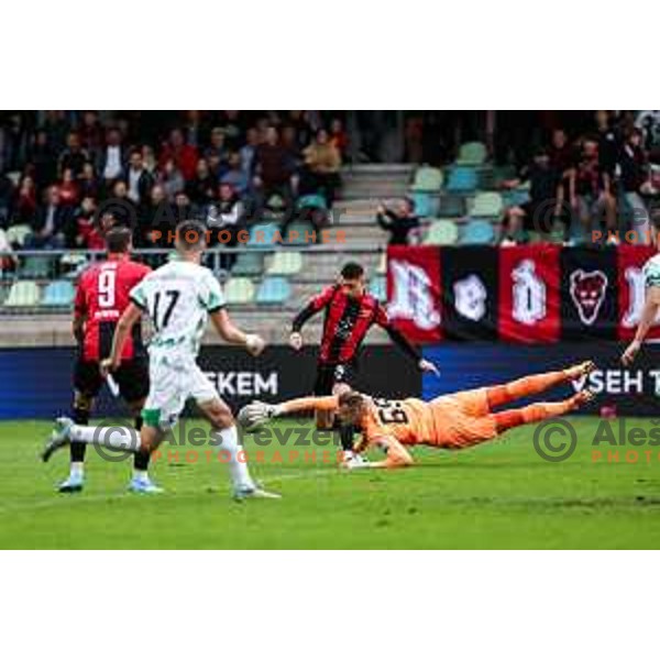 In action during Prva liga Telemach 2024/2025 football match between Primorje and Olimpija in Ajdovscina, Slovenia on September 28, 2024