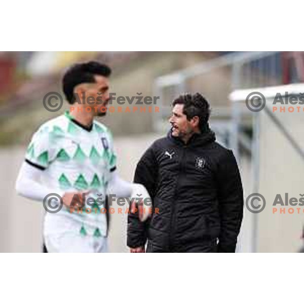 In action during Prva liga Telemach 2024/2025 football match between Primorje and Olimpija in Ajdovscina, Slovenia on September 28, 2024