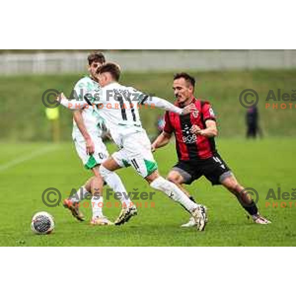 In action during Prva liga Telemach 2024/2025 football match between Primorje and Olimpija in Ajdovscina, Slovenia on September 28, 2024