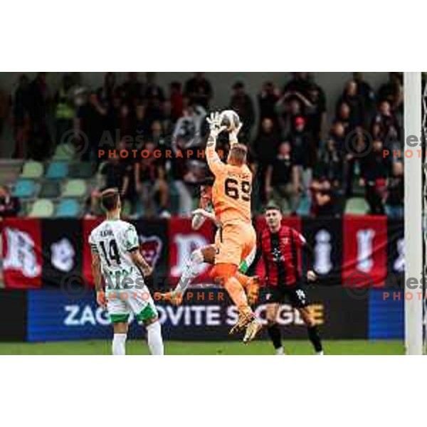 In action during Prva liga Telemach 2024/2025 football match between Primorje and Olimpija in Ajdovscina, Slovenia on September 28, 2024
