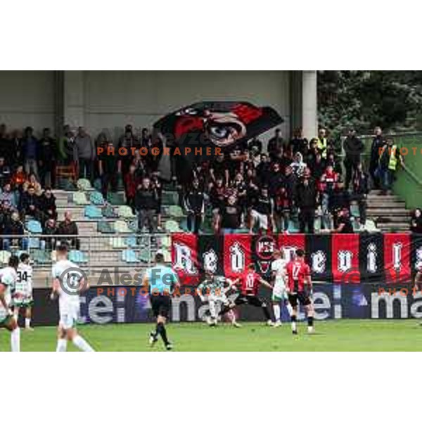 In action during Prva liga Telemach 2024/2025 football match between Primorje and Olimpija in Ajdovscina, Slovenia on September 28, 2024