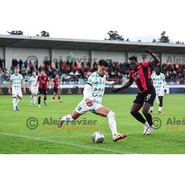 In action during Prva liga Telemach 2024/2025 football match between Primorje and Olimpija in Ajdovscina, Slovenia on September 28, 2024
