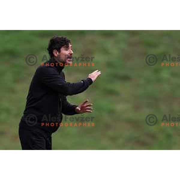 In action during Prva liga Telemach 2024/2025 football match between Primorje and Olimpija in Ajdovscina, Slovenia on September 28, 2024