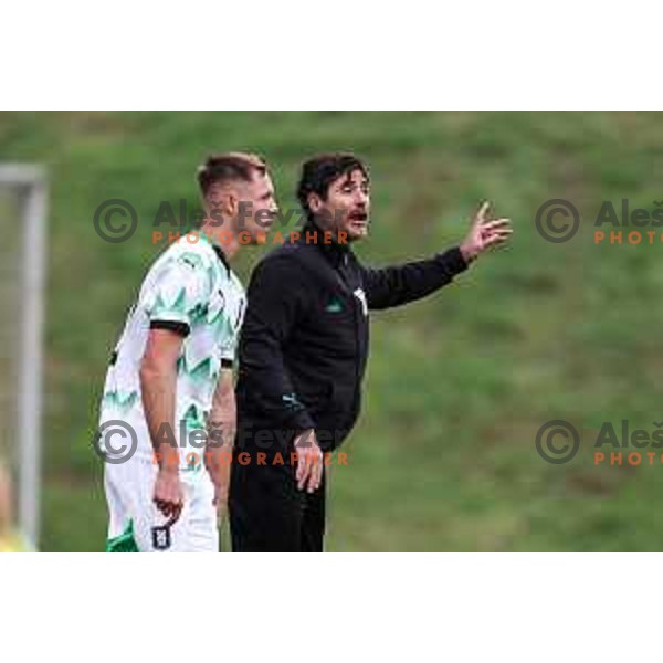 In action during Prva liga Telemach 2024/2025 football match between Primorje and Olimpija in Ajdovscina, Slovenia on September 28, 2024