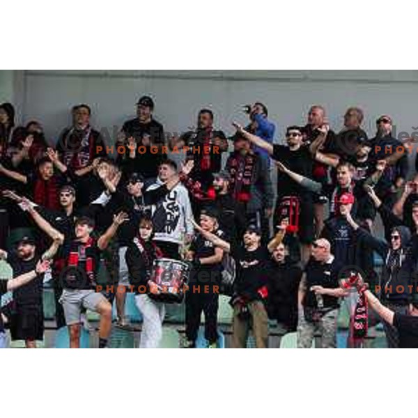In action during Prva liga Telemach 2024/2025 football match between Primorje and Olimpija in Ajdovscina, Slovenia on September 28, 2024
