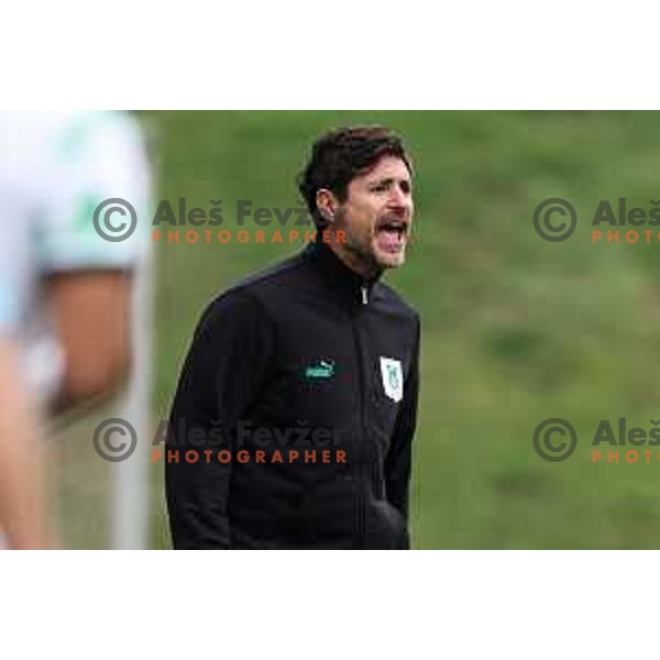 In action during Prva liga Telemach 2024/2025 football match between Primorje and Olimpija in Ajdovscina, Slovenia on September 28, 2024