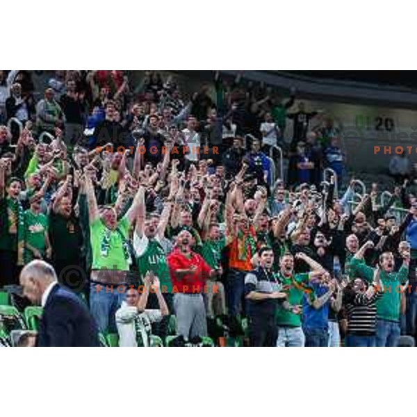 Fans of Cedevita Olimpija in action during BKT EuroCup 2024/2025 basketball match between Cedevita Olimpija and Umana Reyer Venezia in SRC Stozice, Ljubljana, Slovenia on October 1, 2024