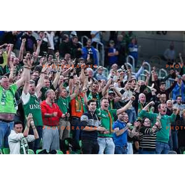 Fans of Cedevita Olimpija in action during BKT EuroCup 2024/2025 basketball match between Cedevita Olimpija and Umana Reyer Venezia in SRC Stozice, Ljubljana, Slovenia on October 1, 2024