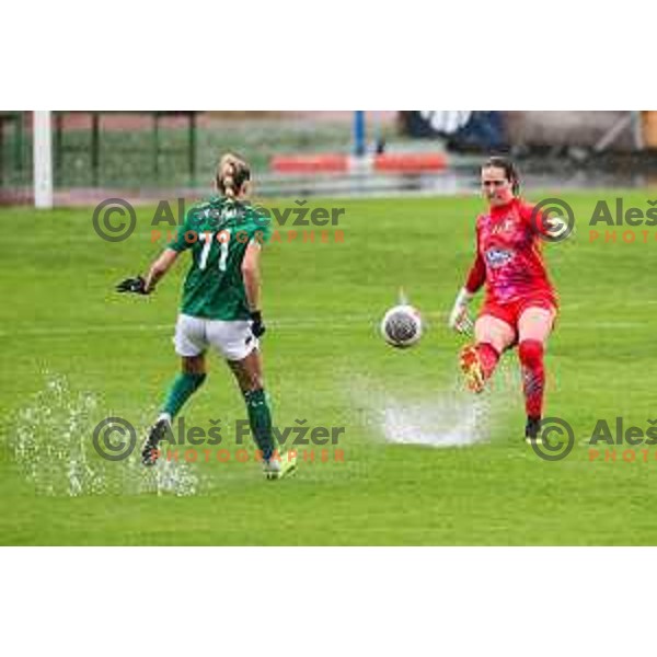 Vladimir Kokol during Slovenian Women’s Football Cup match between ZNK Olimpija and ZNK Mura Nona in Ljubljana, Slovenia on October 3, 2024.