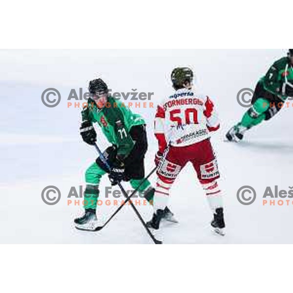 in action during IceHL match between SZ Olimpija and Bolzano in Ljubljana, Slovenia on October 11, 2024