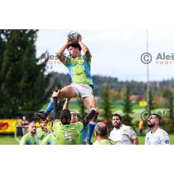 In action during Rugby Europe Conference D match between Slovenia and Kosovo in Stanezice Oval Ljubljana, Slovenia on October 12, 2024