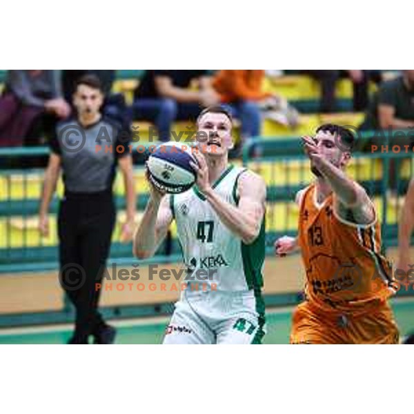 Jaka Klobucar of Krka during OTP Bank League match between Krka and Kansai Helios in Novo Mesto, Slovenia on October 16, 2024