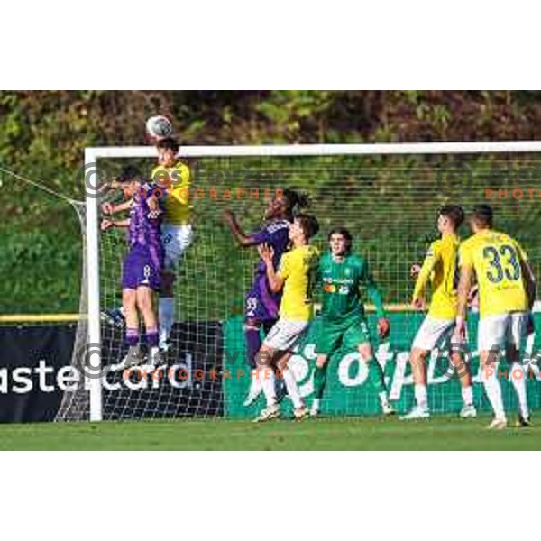 Halil Sudan and players of Maribor celebrate a goal during Prva liga Telemach 2024/2025 football match between Bravo Kostel and Maribor in Ljubljana, Slovenia on October 20, 2024