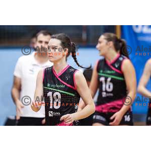in action during 1.DOL match between Calcit Volley and OTP Banka Branik in Kamnik, Slovenia on October 22, 2024