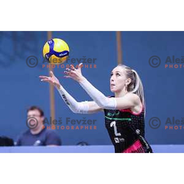 in action during 1.DOL match between Calcit Volley and OTP Banka Branik in Kamnik, Slovenia on October 22, 2024