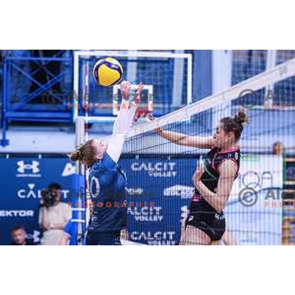 in action during 1.DOL match between Calcit Volley and OTP Banka Branik in Kamnik, Slovenia on October 22, 2024
